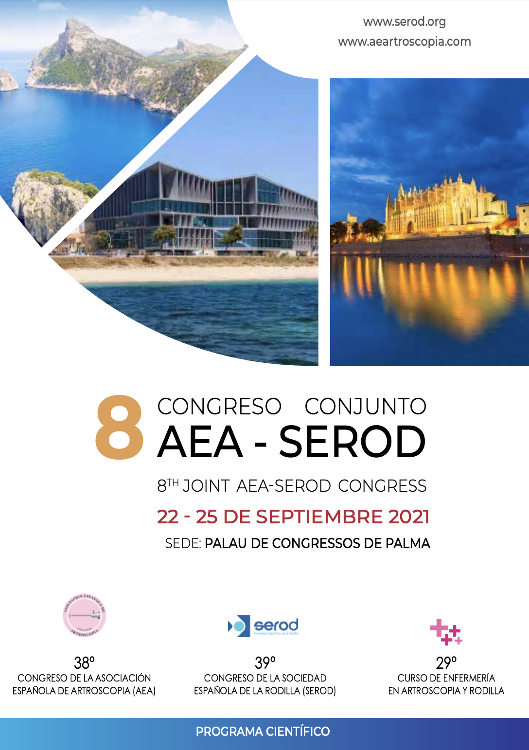 Congreso Nacional de la AEA-SEROD (Asociación Española de Artroscopia y Sociedad Española de Rodilla)
